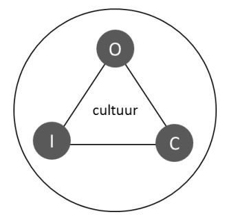structuuraspecten cultuur personeel informatie